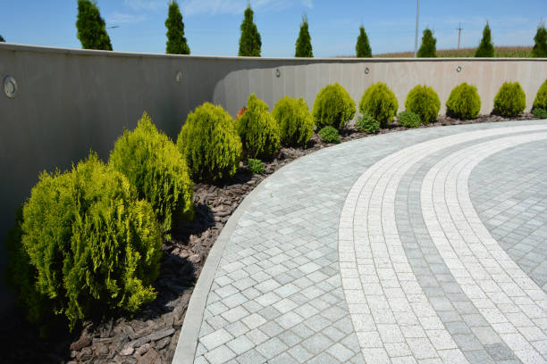 Best Decorative Driveway Pavers  in Woodbury Heights, NJ